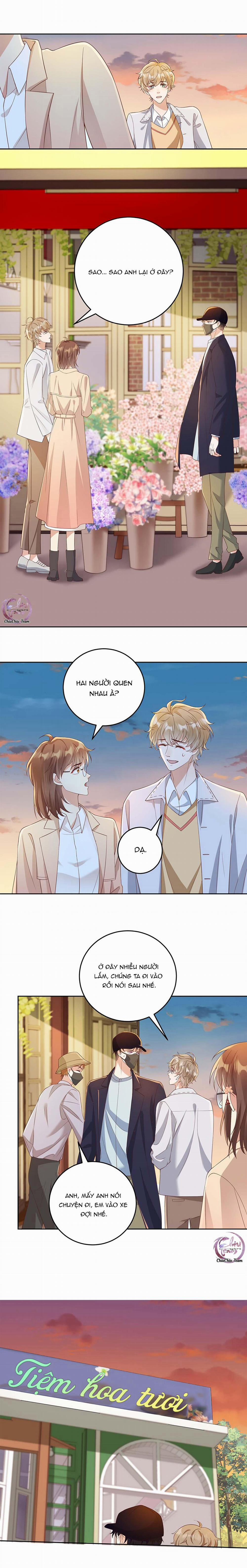 Đơn Phương Kết Hôn 33 trang 4