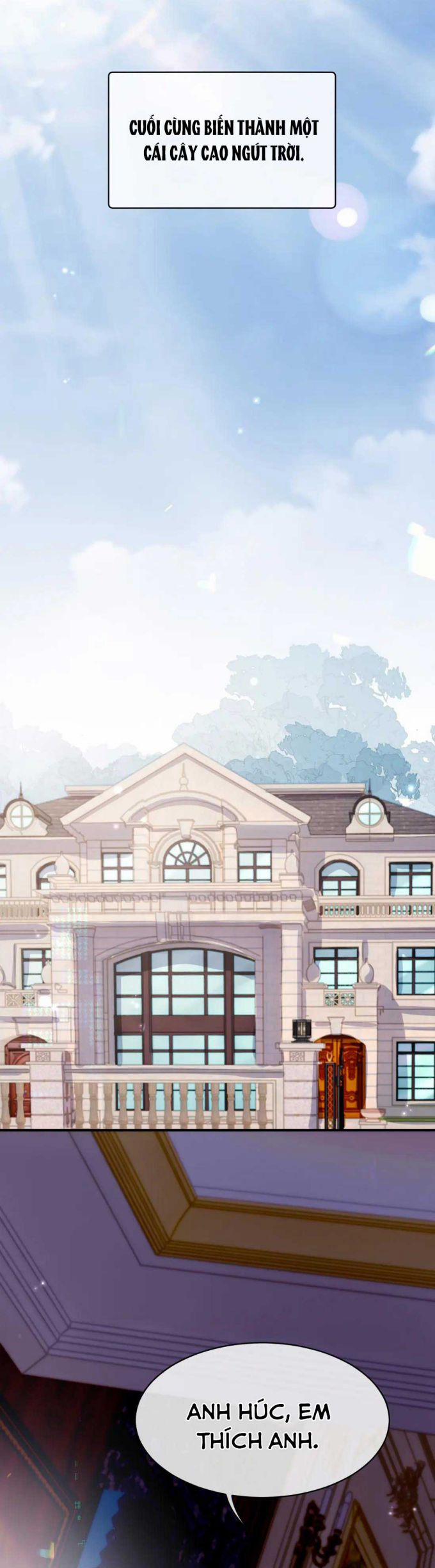 Đơn Xin Ly Hôn 61 trang 17