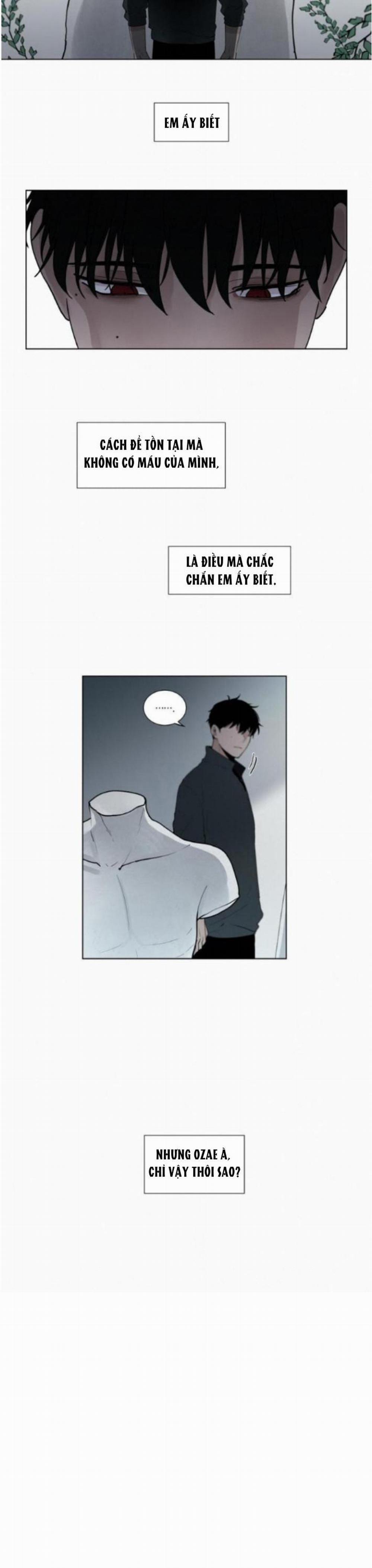 Dòng Máu Ma Cà Rồng 22 trang 11