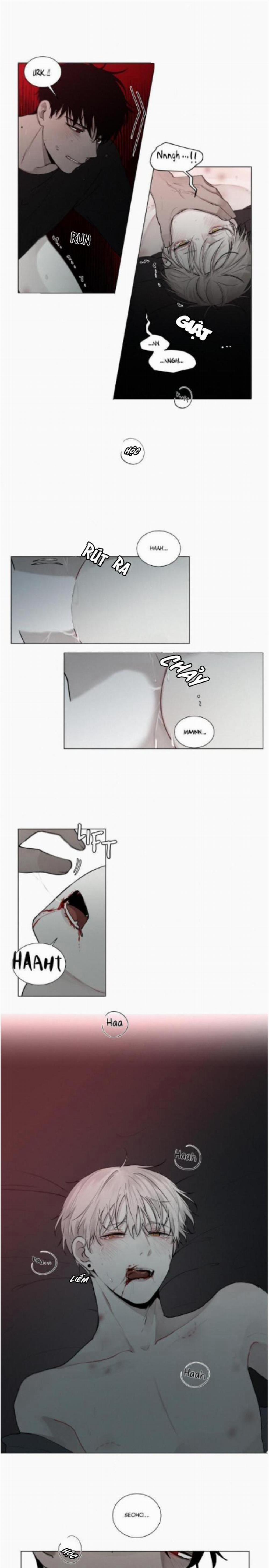 Dòng Máu Ma Cà Rồng 24 trang 12