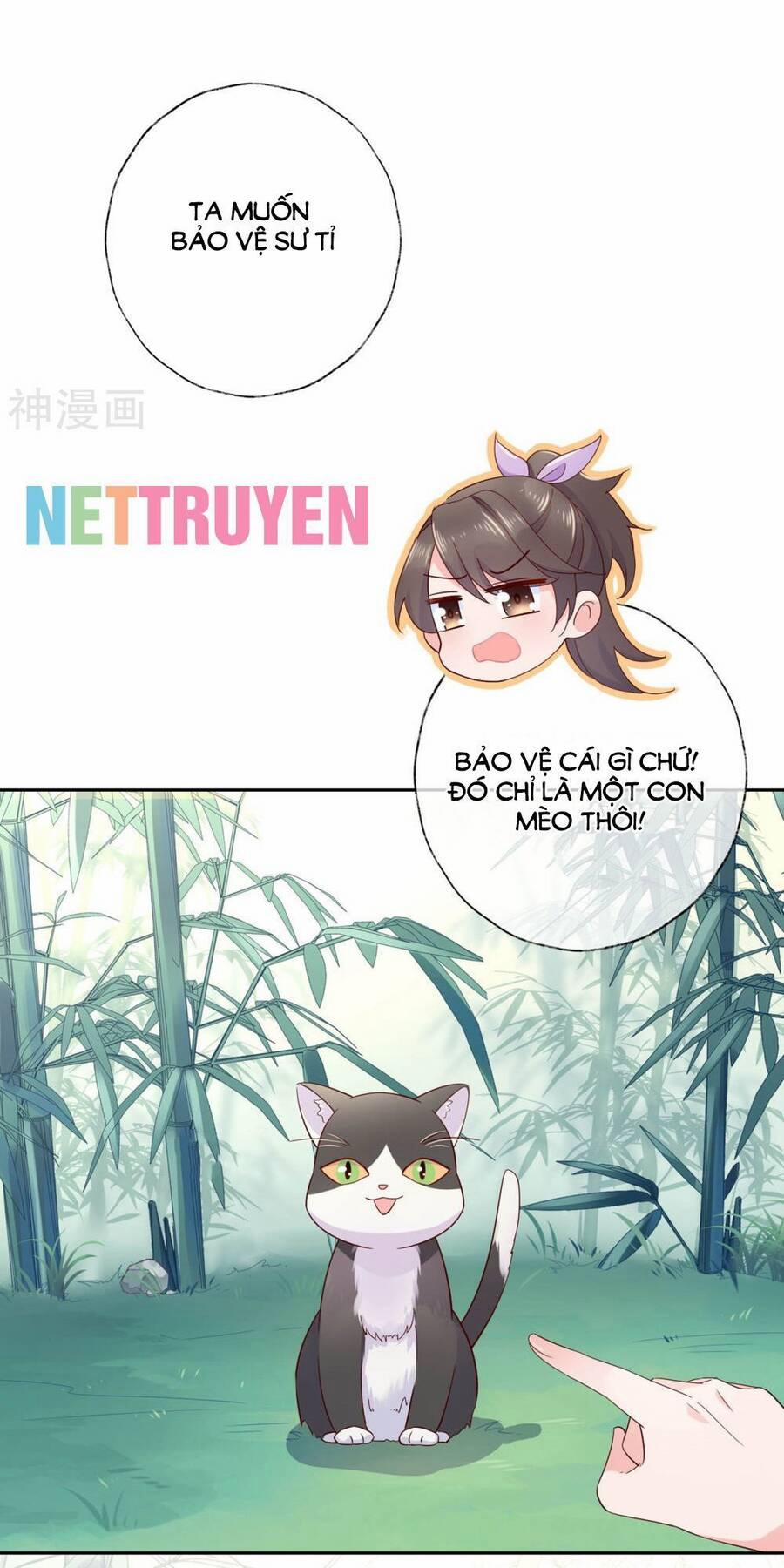 Dòng máu ngọt ngào 17 trang 11