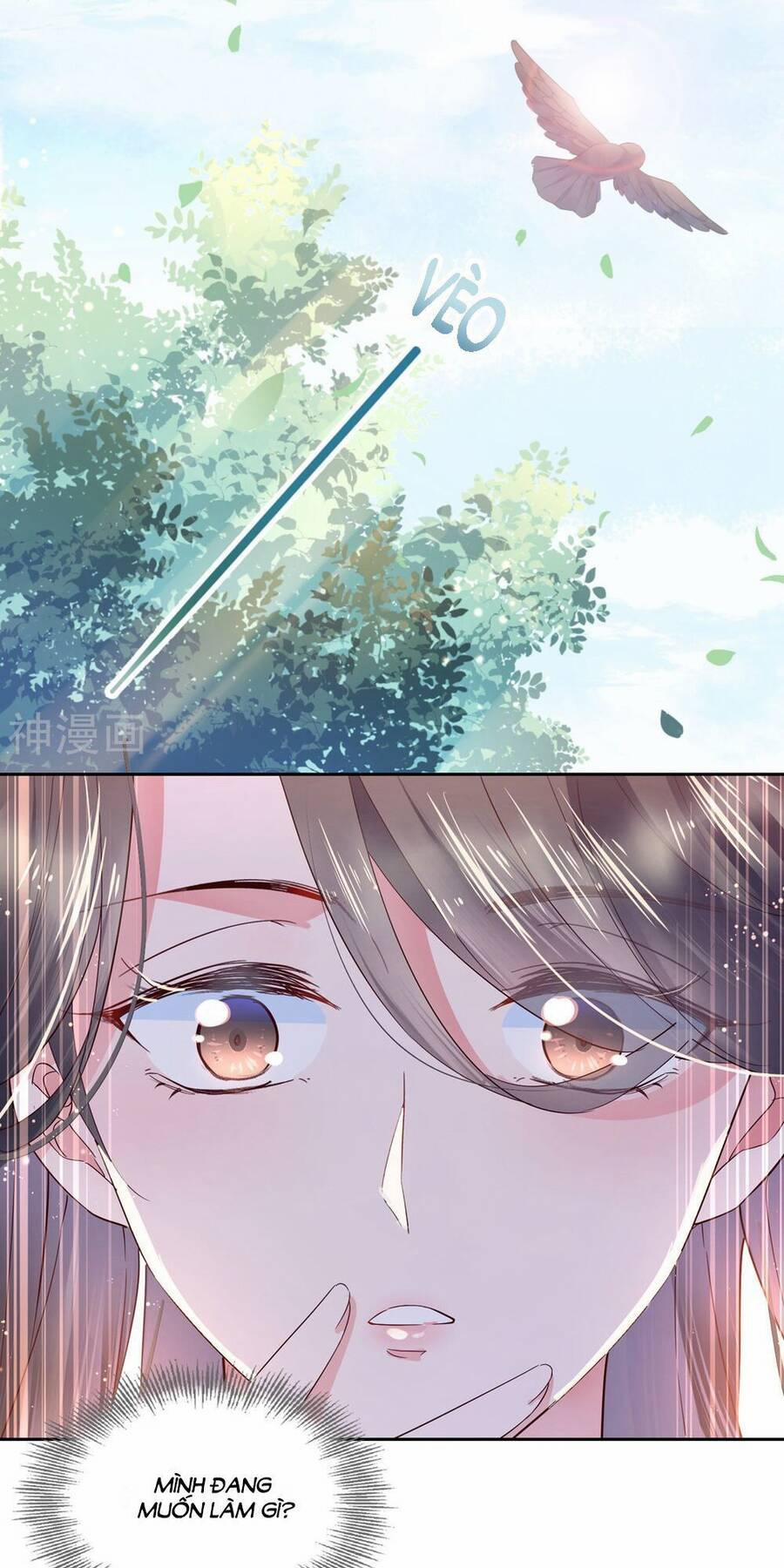 Dòng máu ngọt ngào 21 trang 13