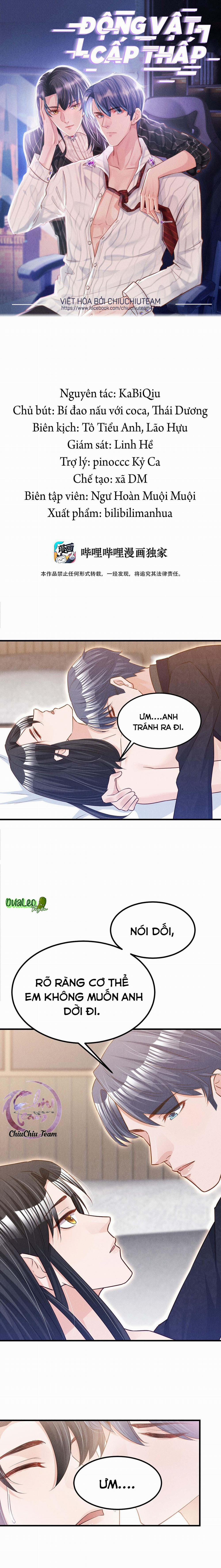 Động Vật Cấp Thấp (END) 13 trang 0