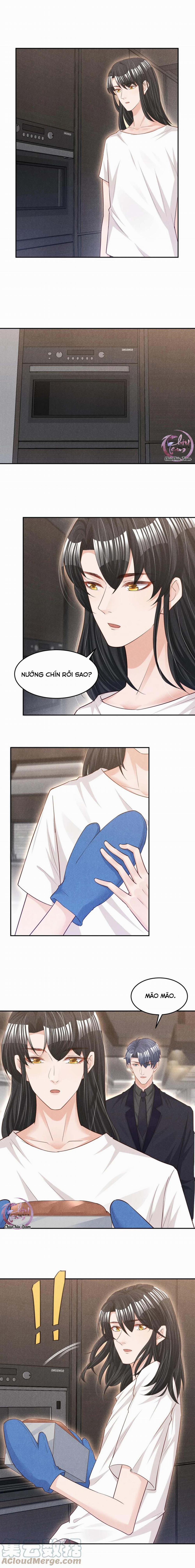 Động Vật Cấp Thấp (END) 20 trang 1