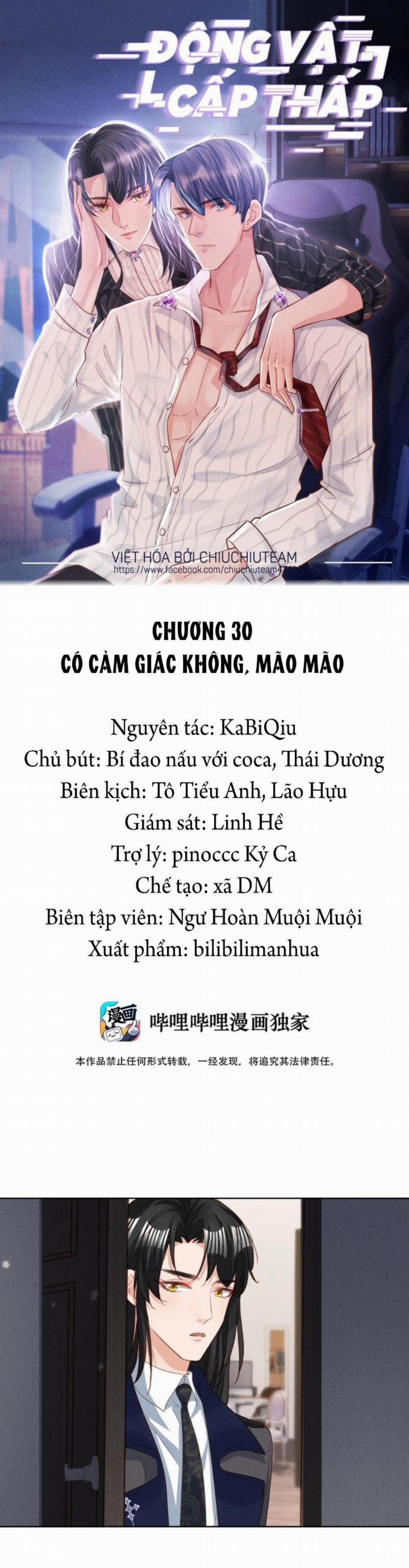 Động Vật Cấp Thấp (END) 30 trang 0