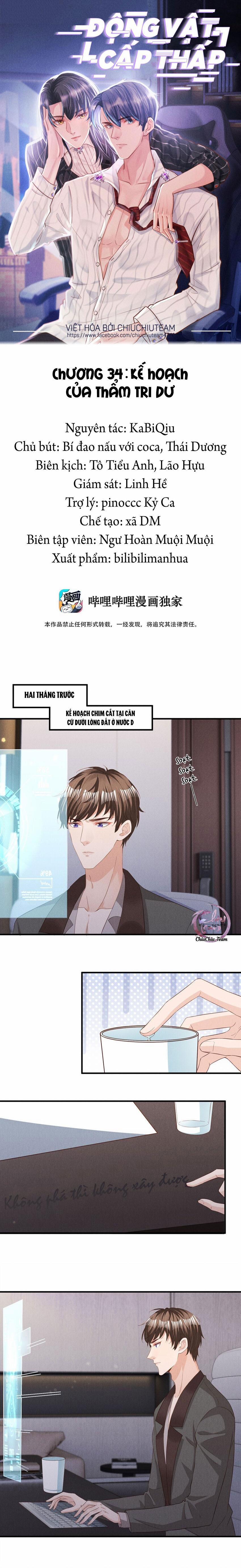 Động Vật Cấp Thấp (END) 34 trang 0