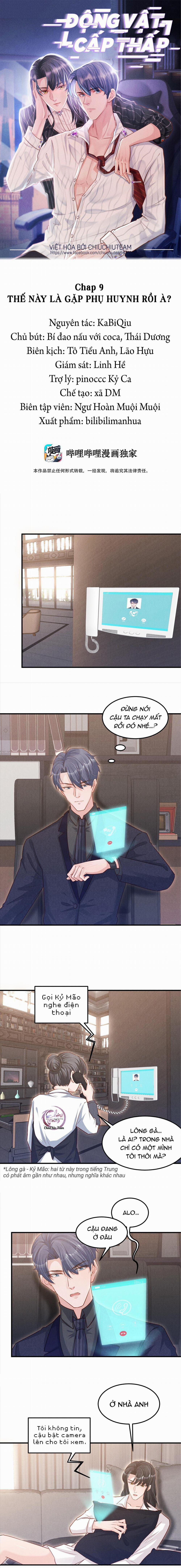 Động Vật Cấp Thấp (END) 9 trang 0