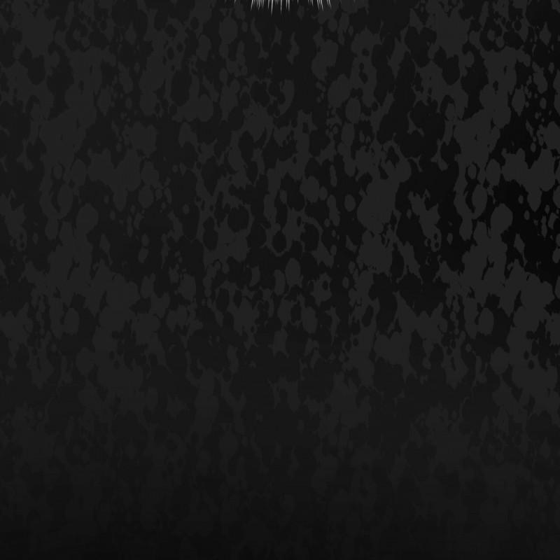 Doppio Senso 57.5 trang 47