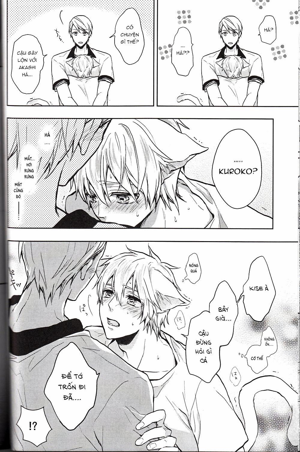 Doujinshi Của Kuroko No Basket Ball 6 trang 11