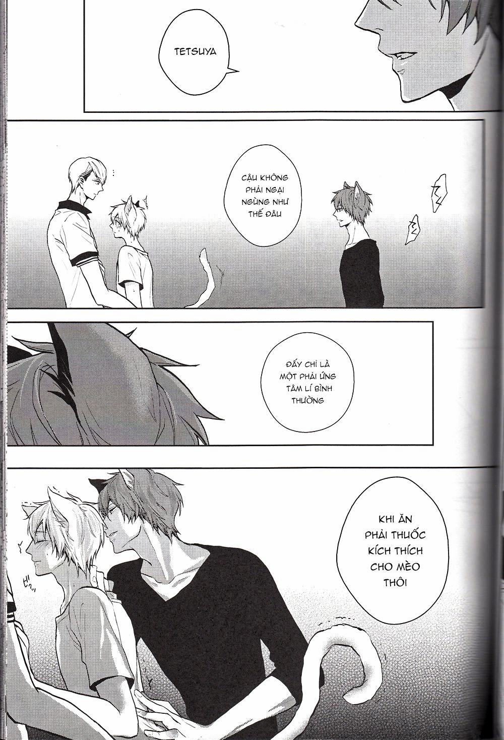 Doujinshi Của Kuroko No Basket Ball 6 trang 12