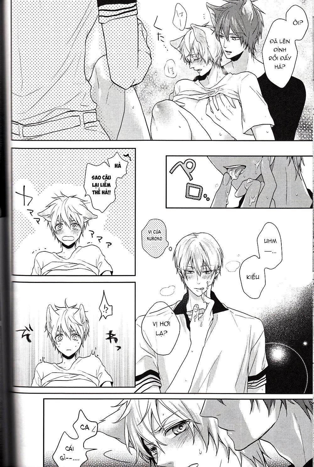 Doujinshi Của Kuroko No Basket Ball 6 trang 25