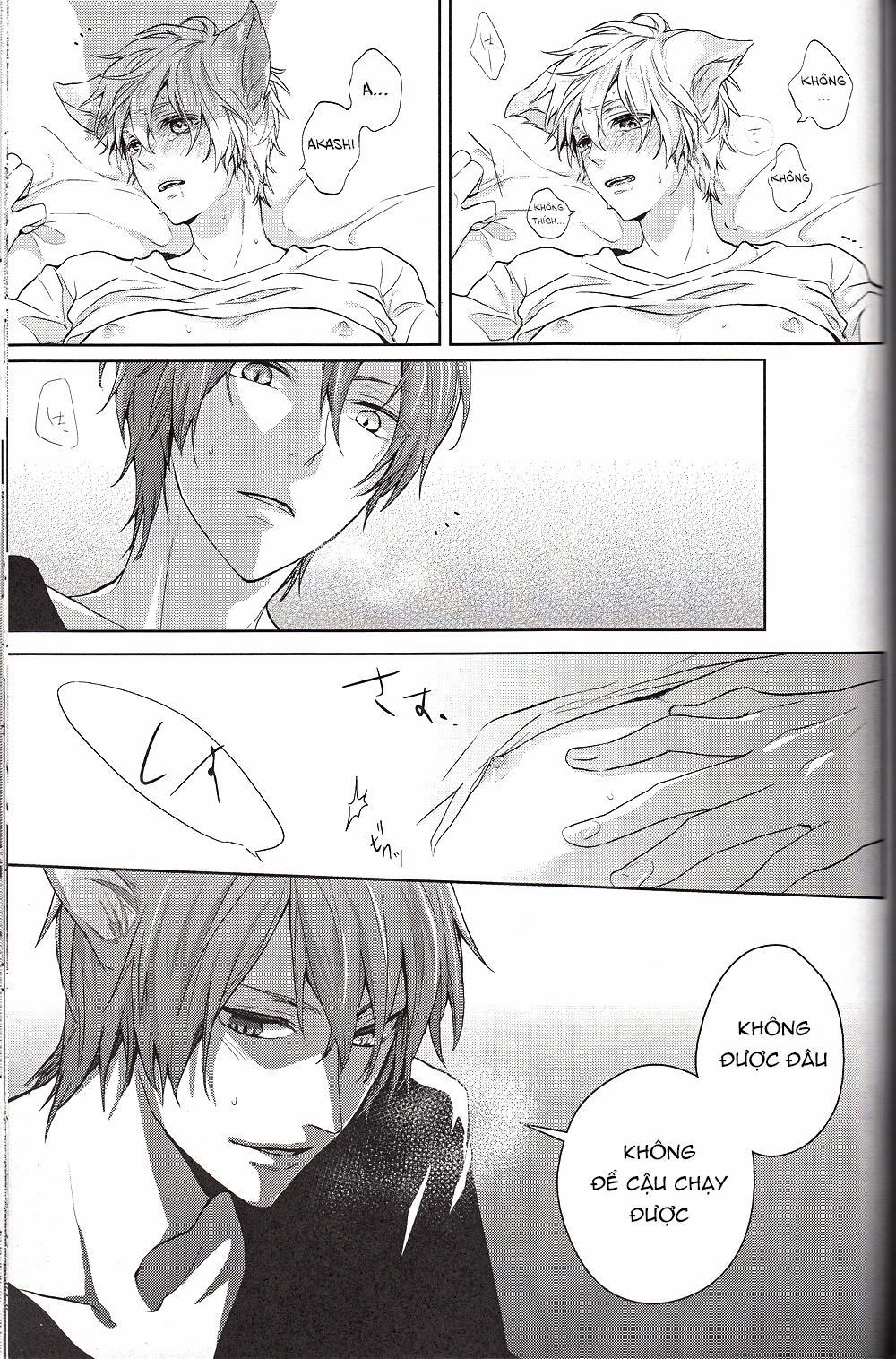 Doujinshi Của Kuroko No Basket Ball 6 trang 40