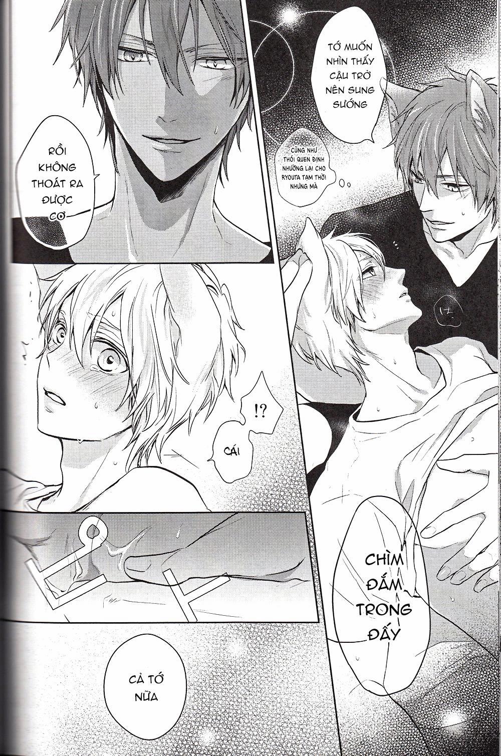 Doujinshi Của Kuroko No Basket Ball 6 trang 41