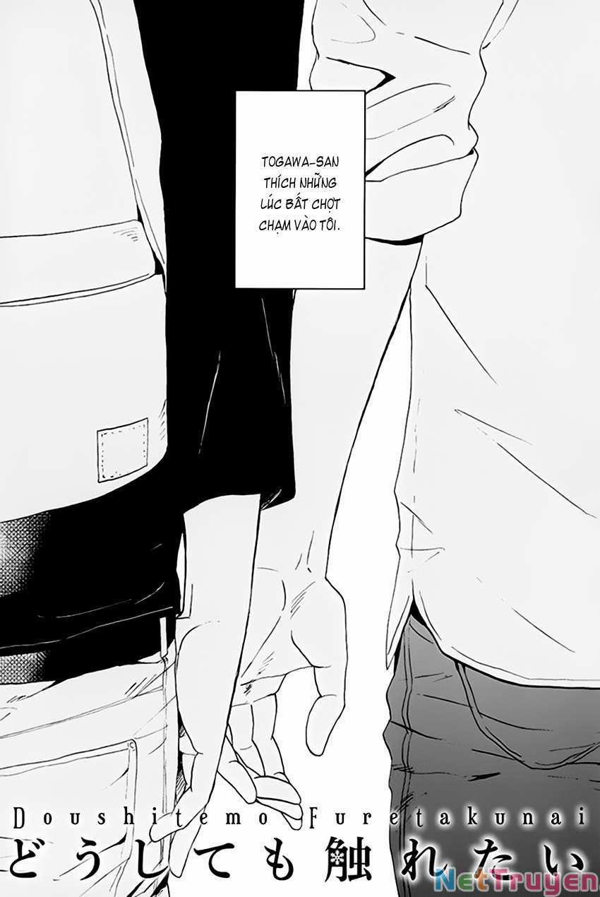 Doushitemo Furetakunai [Sushi] 14 trang 3