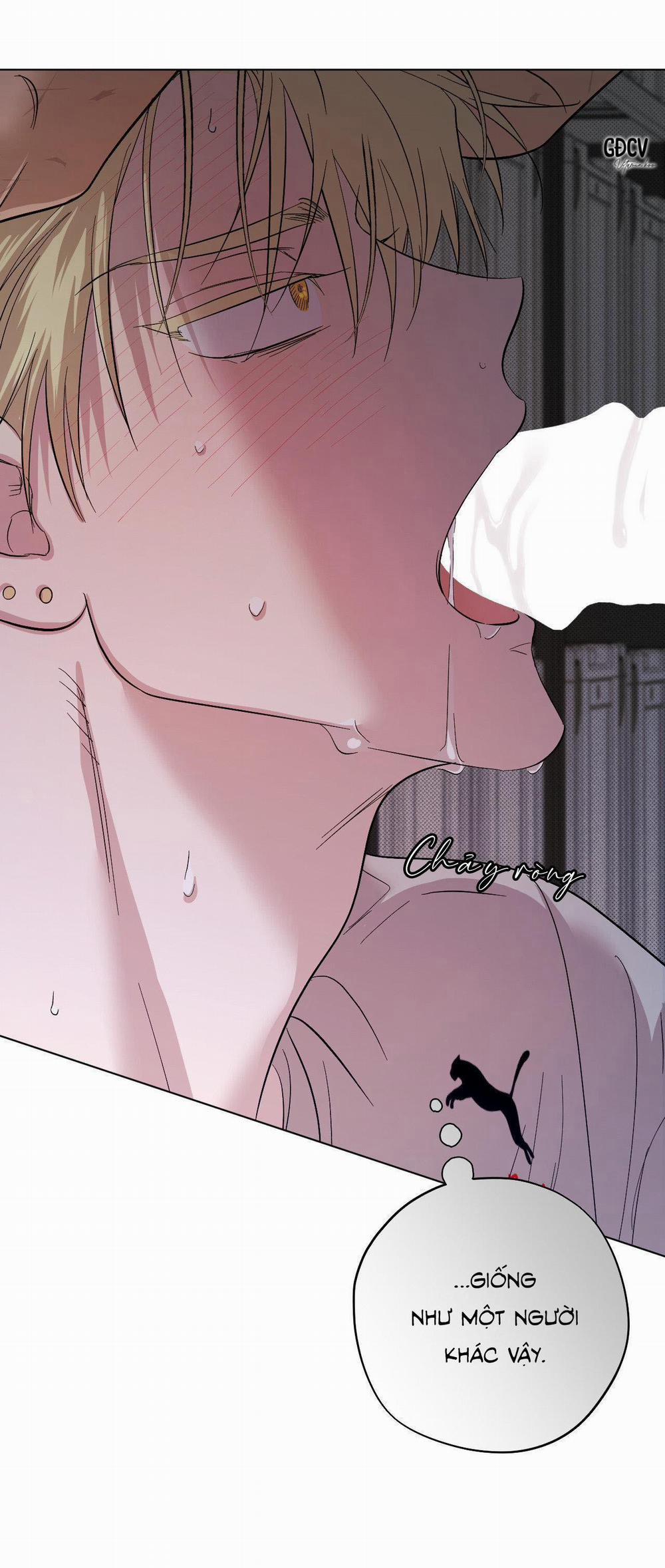 Driver's High 14 0 trang 0