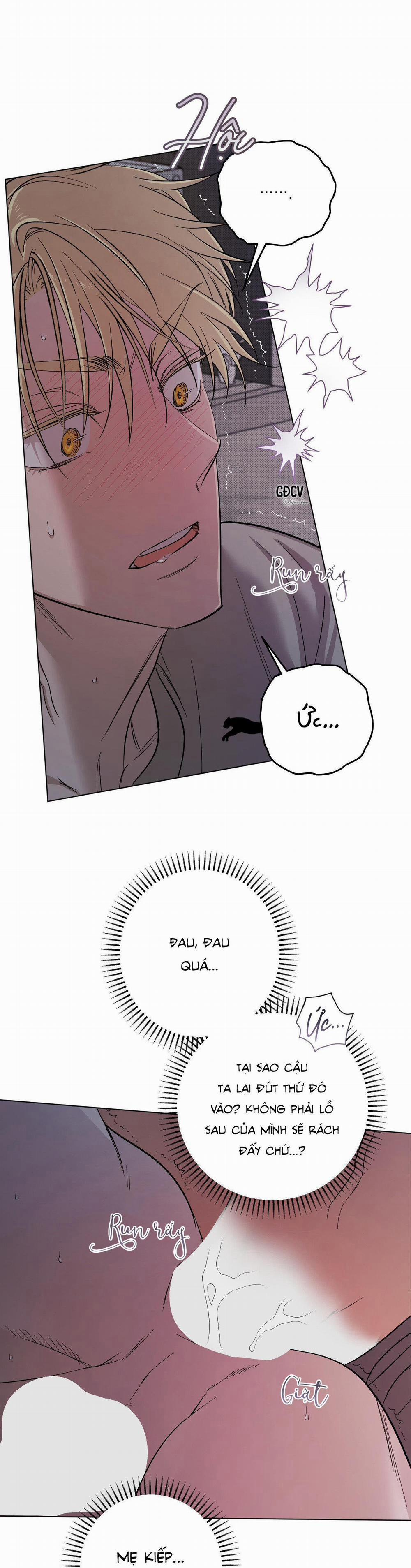 Driver's High 14 18+ trang 8