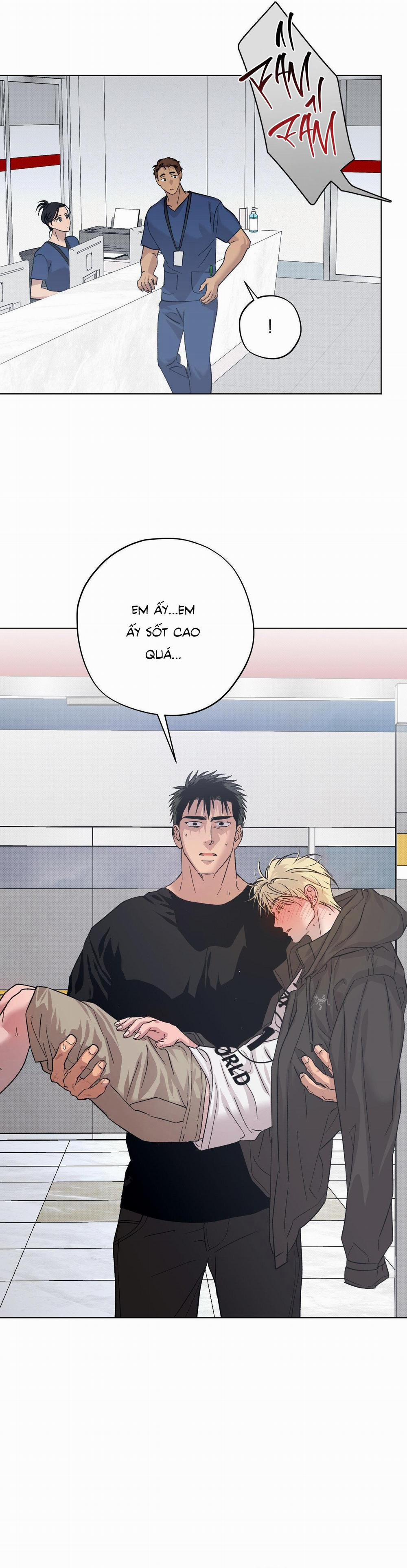 Driver's High 30 NT8 trang 1