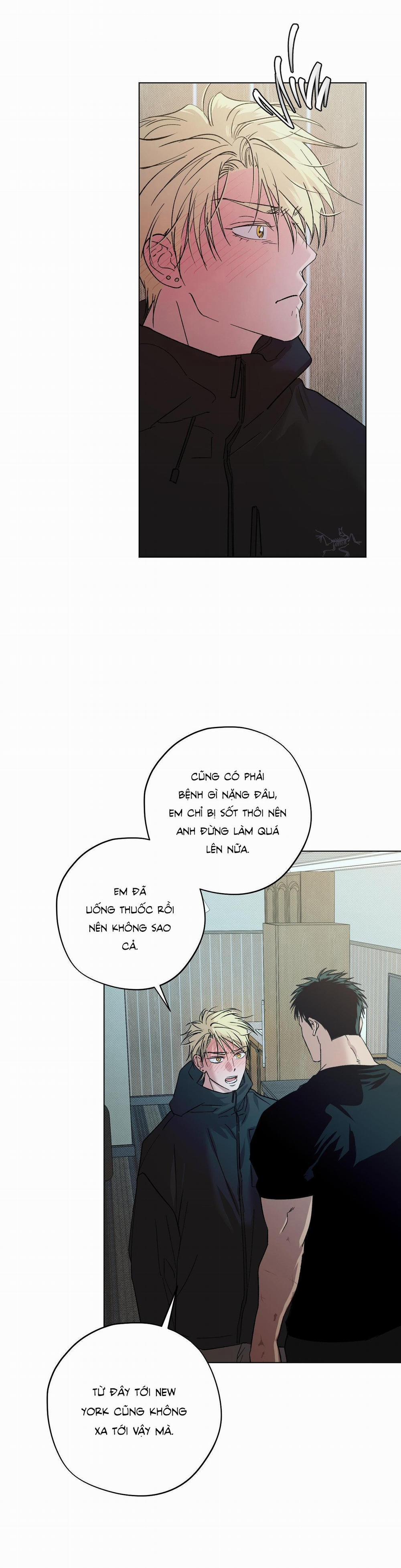 Driver's High 30 NT8 trang 15