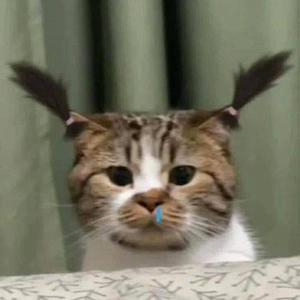 Đọc truyện tranh (Drop) Bạn Đời Của Rồng