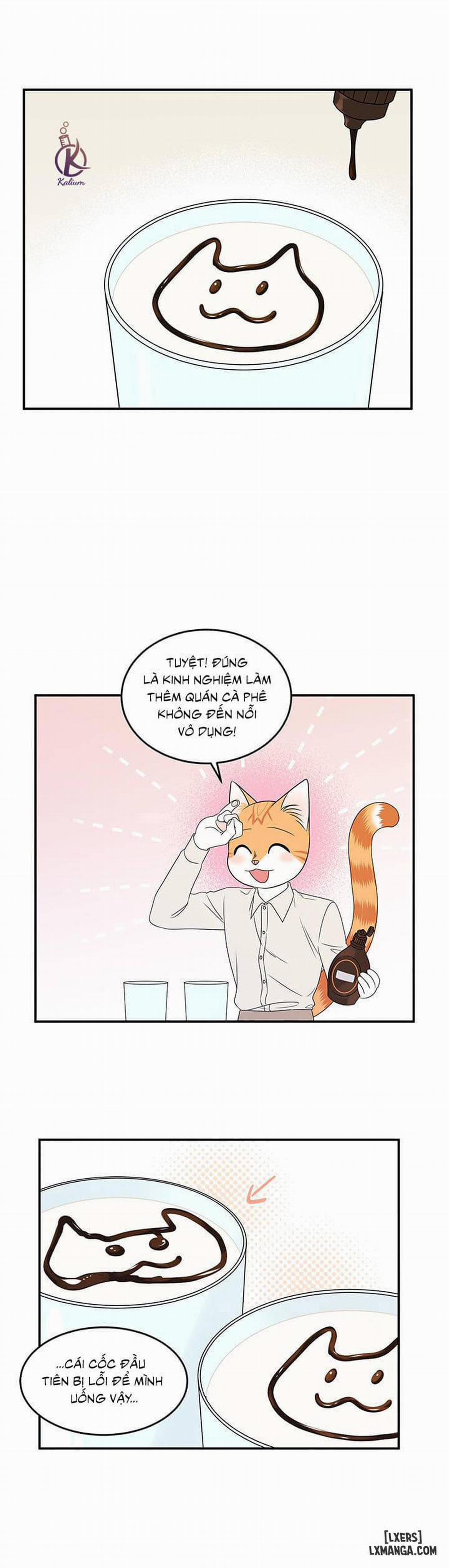 Dự án xanh 12 trang 13