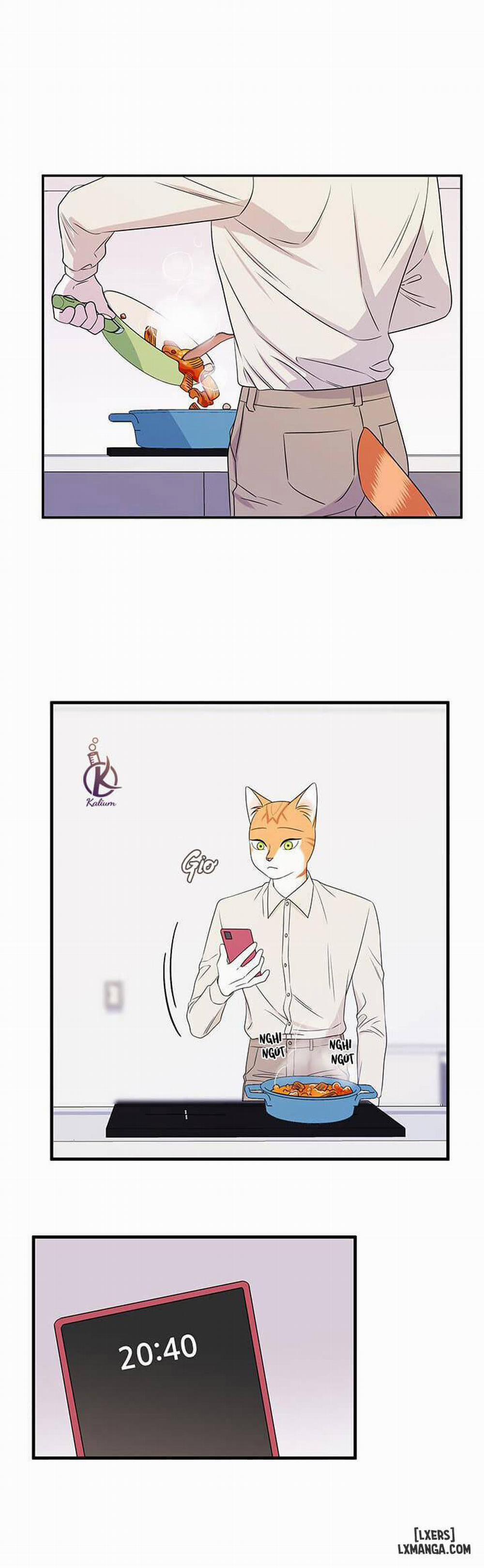 Dự án xanh 12 trang 16