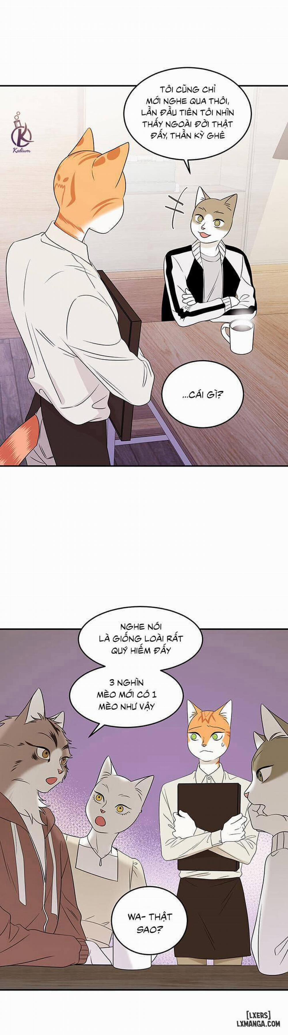 Dự án xanh 12 trang 2