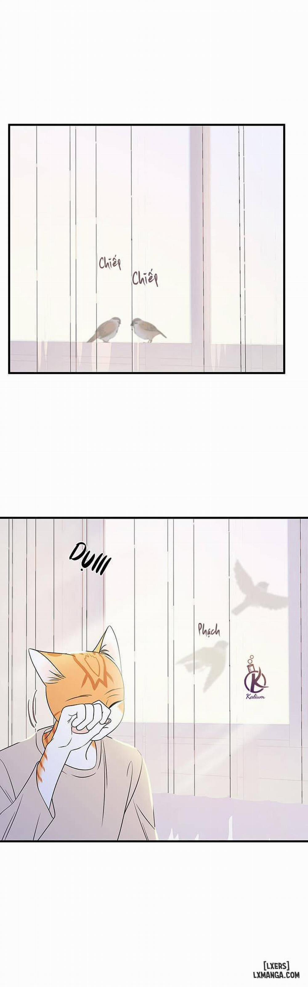 Dự án xanh 12 trang 20