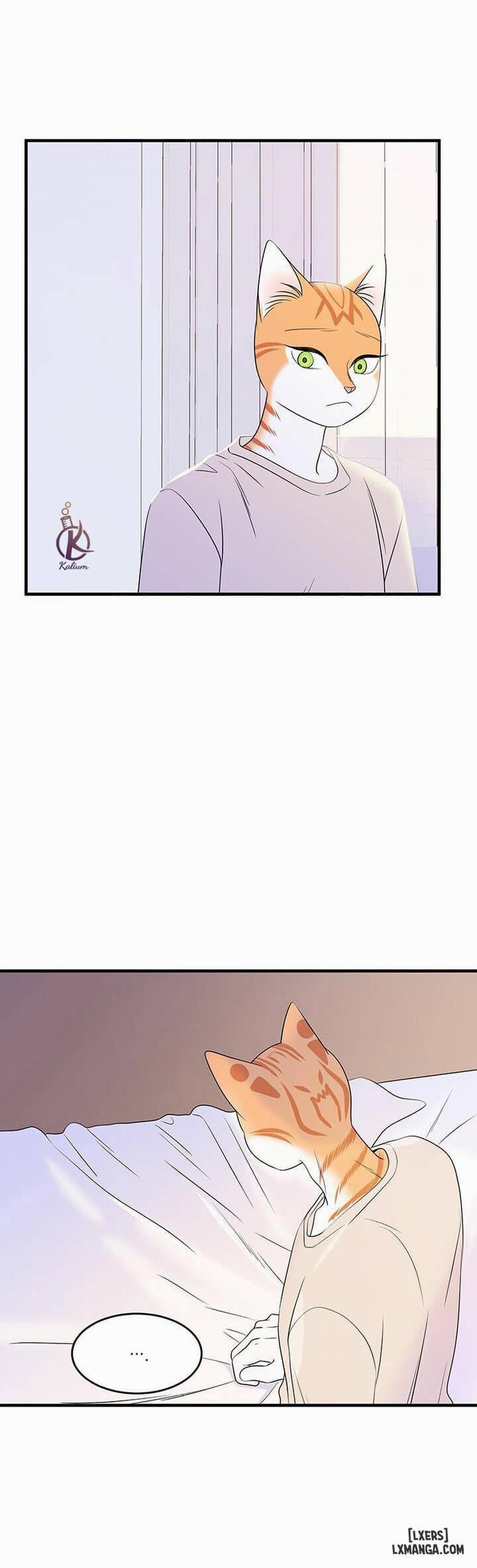 Dự án xanh 12 trang 21