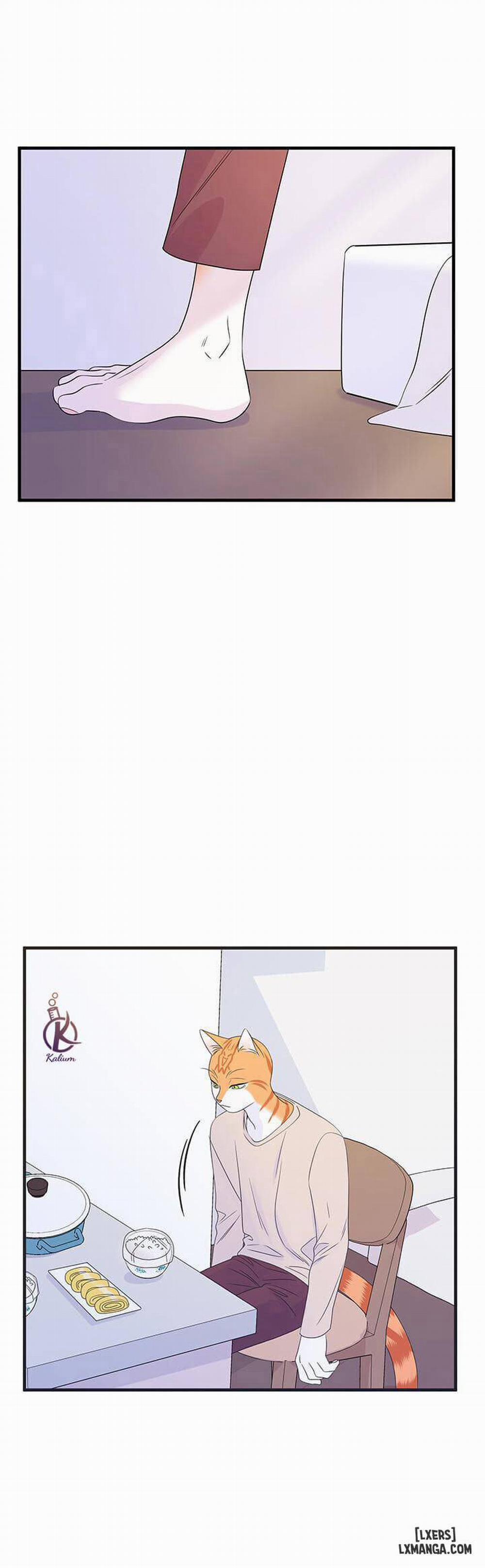 Dự án xanh 12 trang 22