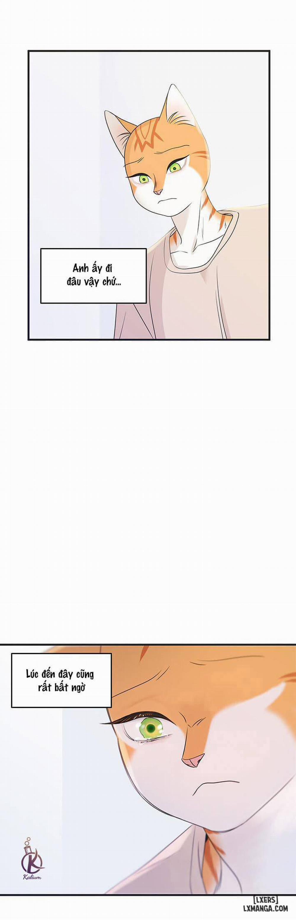 Dự án xanh 12 trang 26