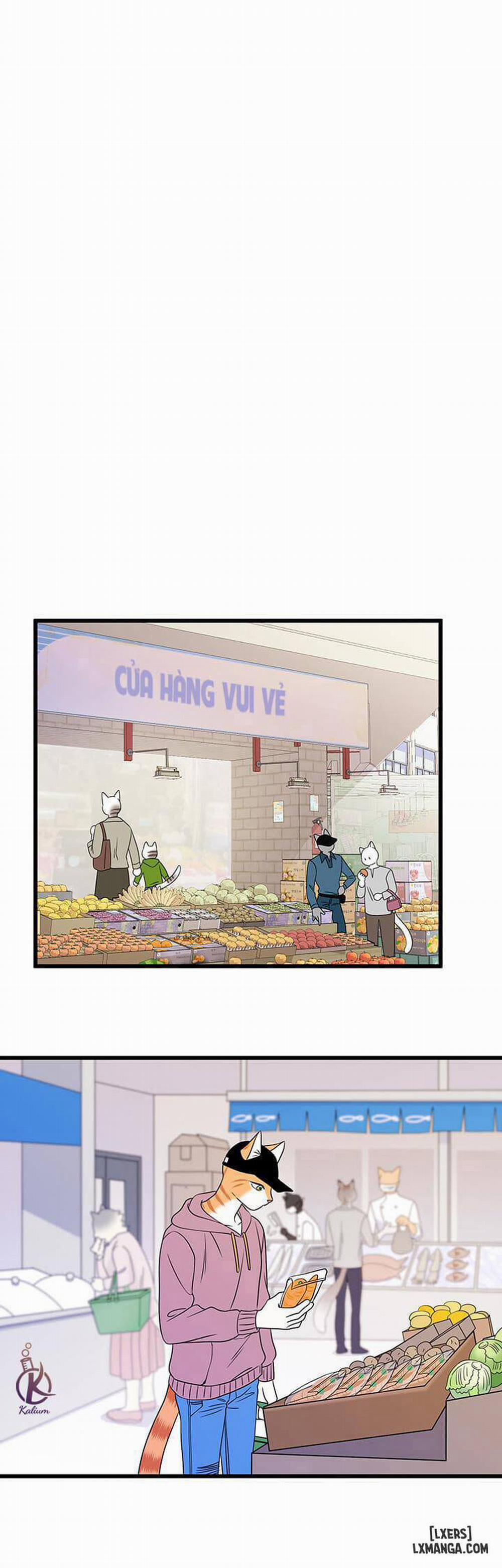 Dự án xanh 12 trang 29