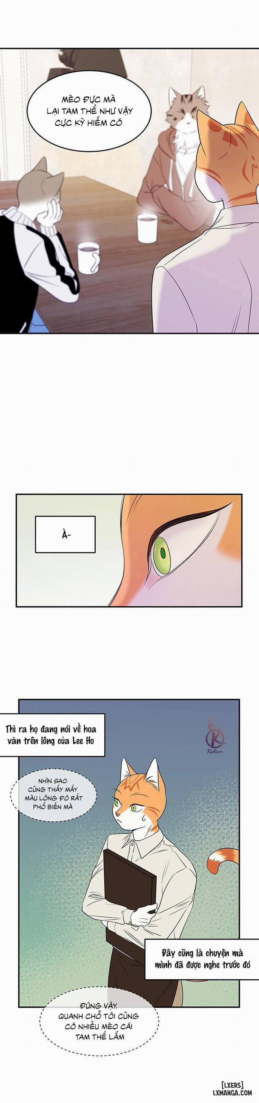 Dự án xanh 12 trang 3