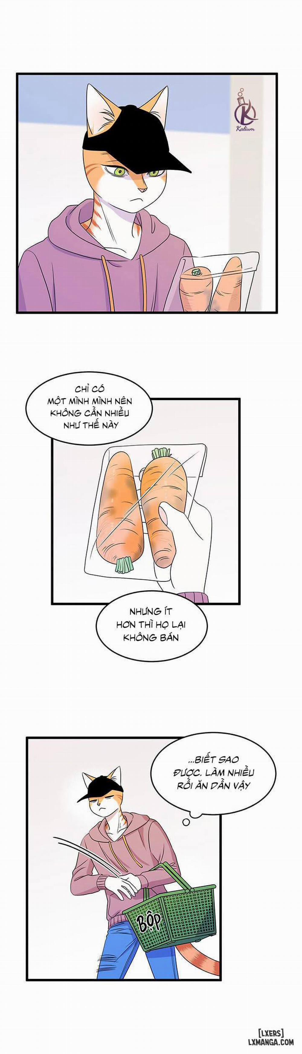 Dự án xanh 12 trang 30