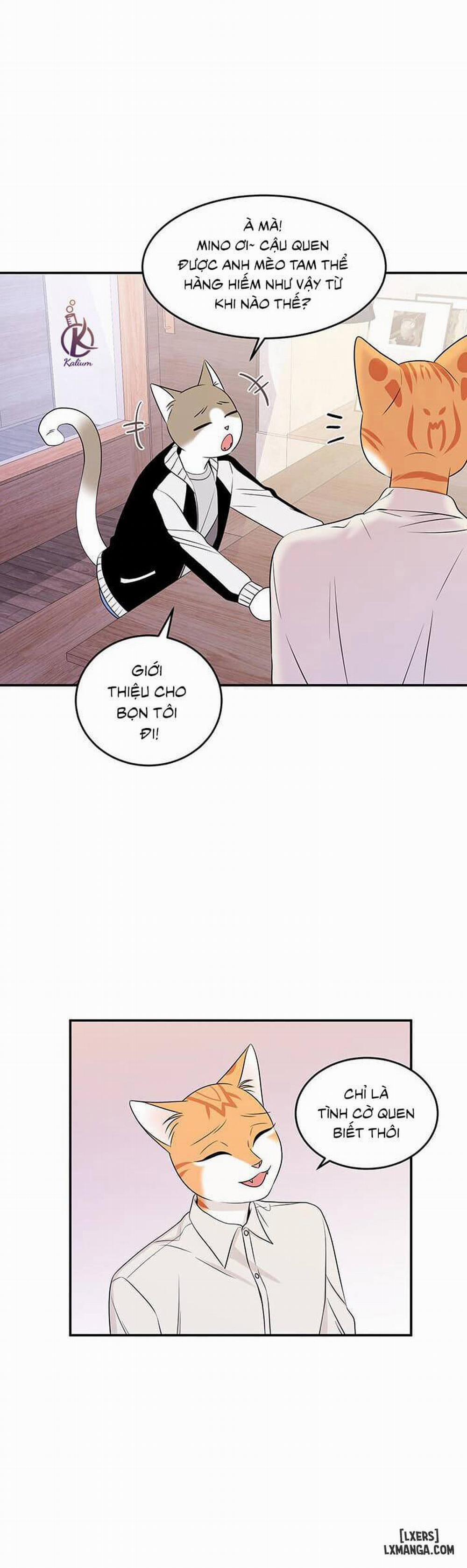 Dự án xanh 12 trang 4