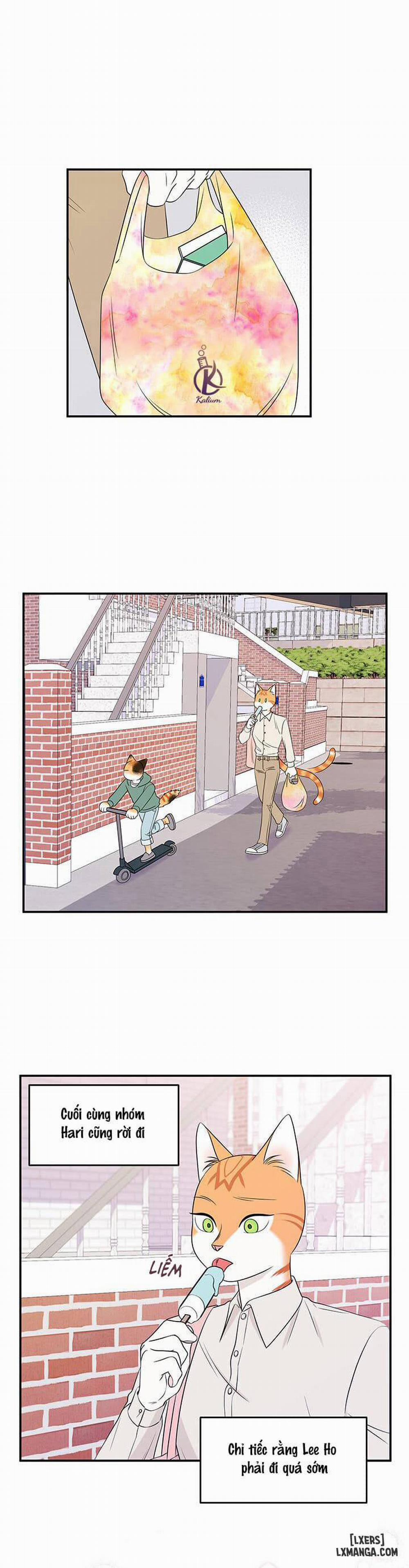 Dự án xanh 12 trang 7