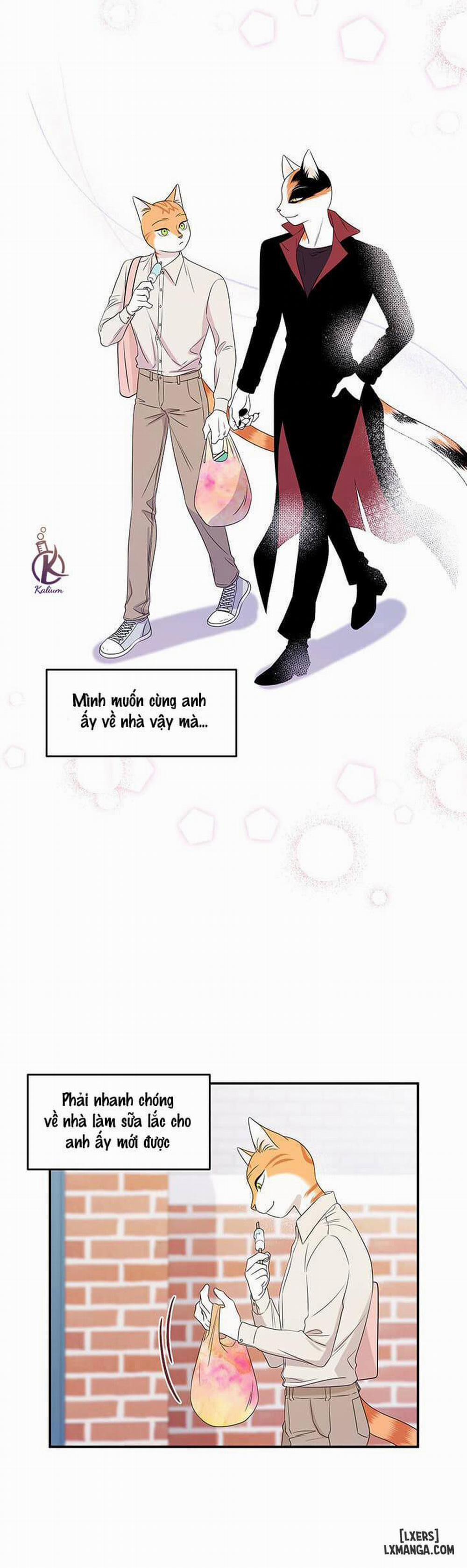 Dự án xanh 12 trang 8