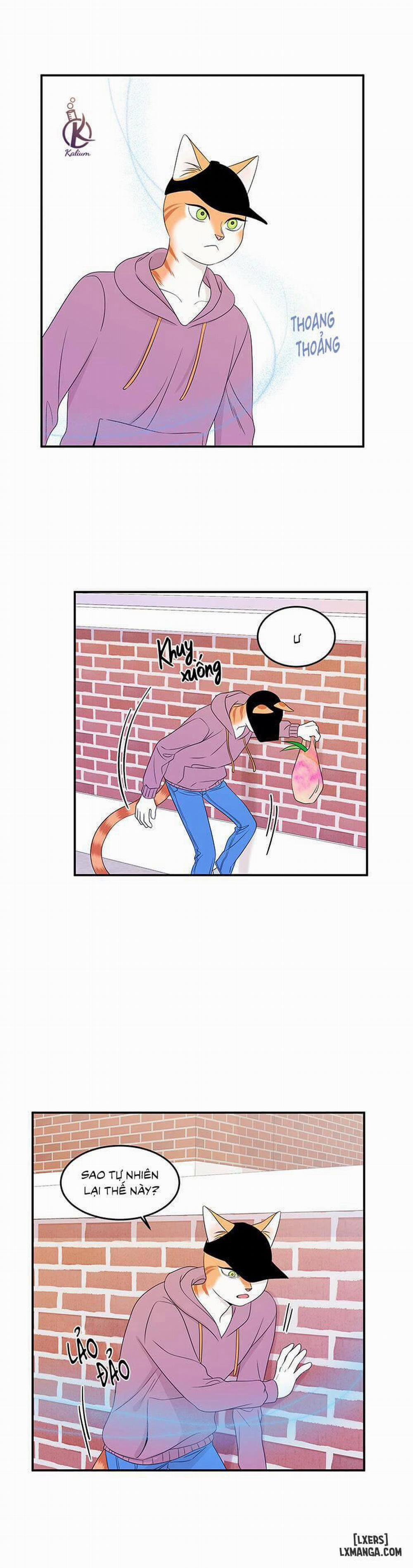 Dự án xanh 13 trang 1