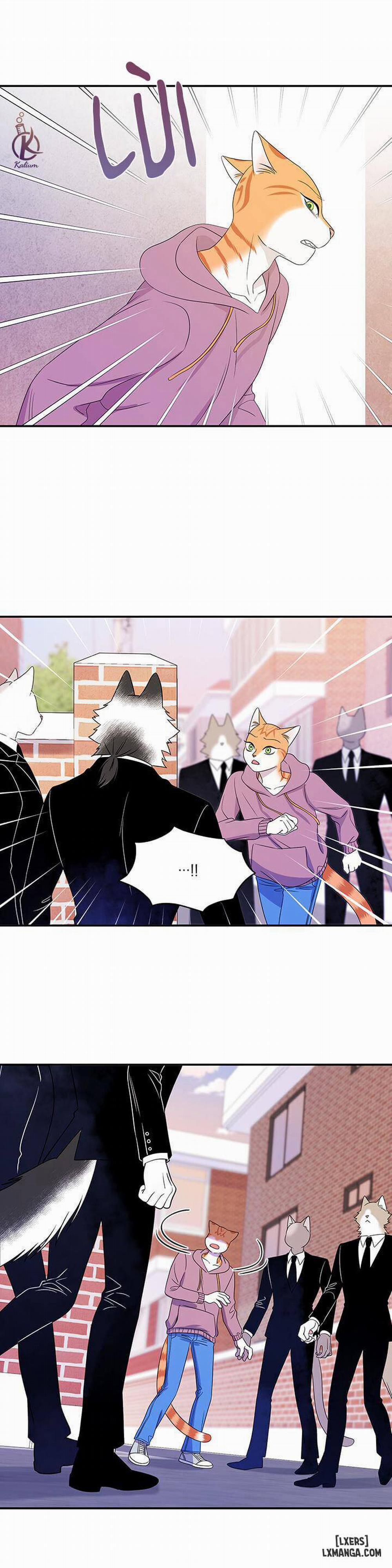 Dự án xanh 13 trang 10