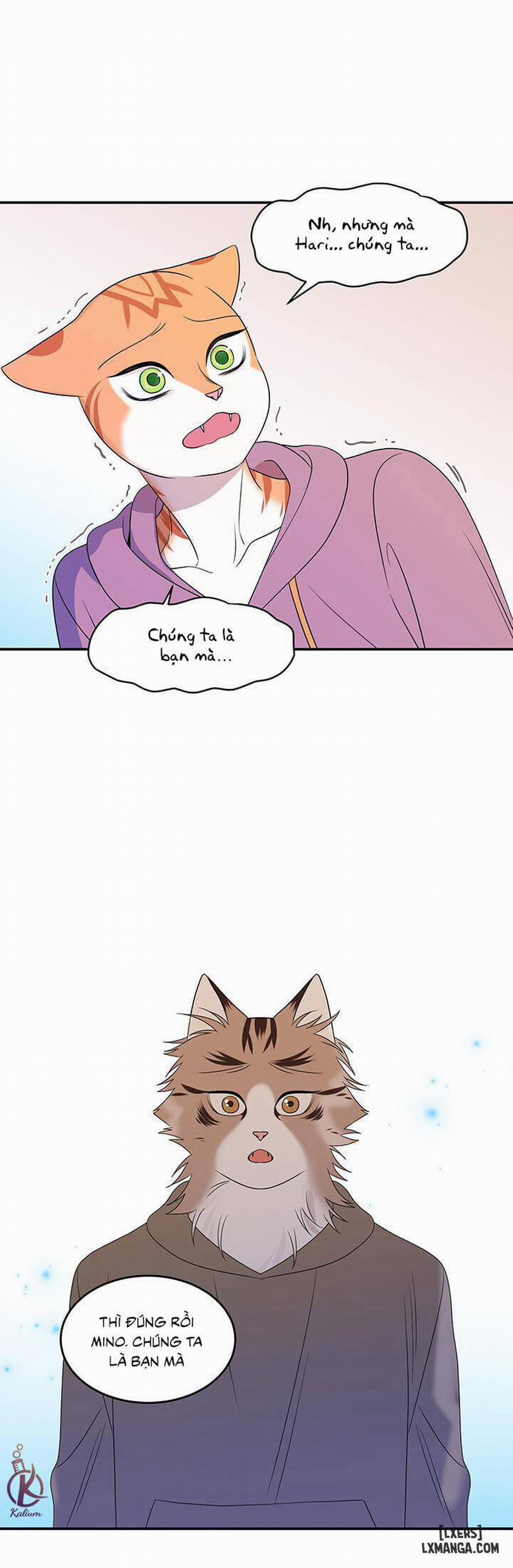 Dự án xanh 13 trang 12