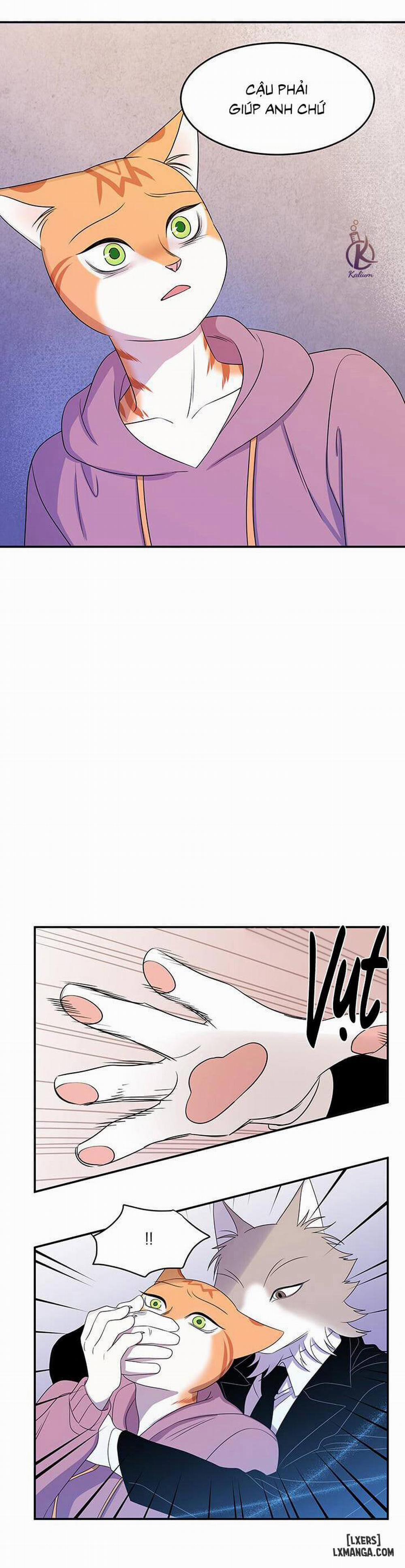 Dự án xanh 13 trang 13