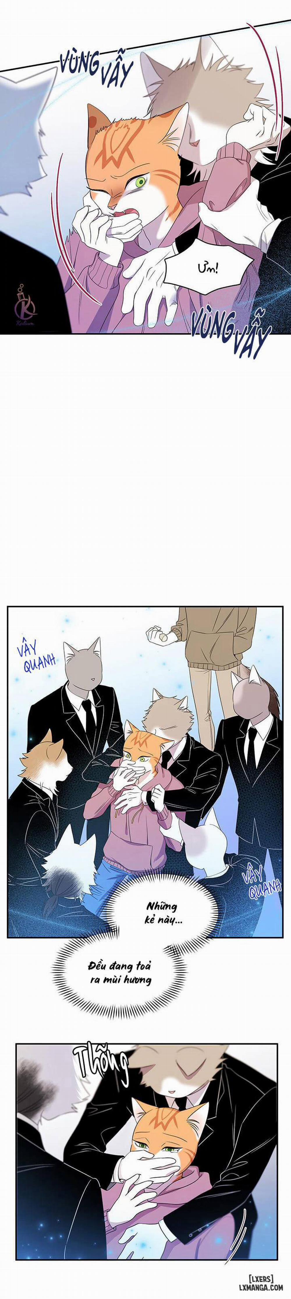 Dự án xanh 13 trang 14