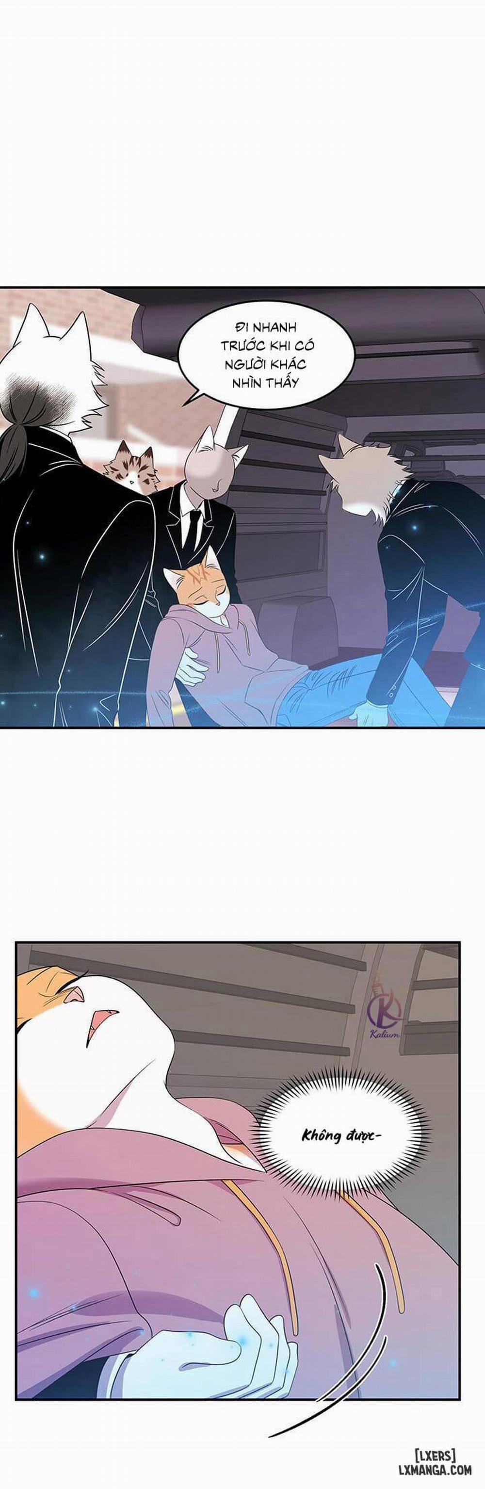 Dự án xanh 13 trang 15