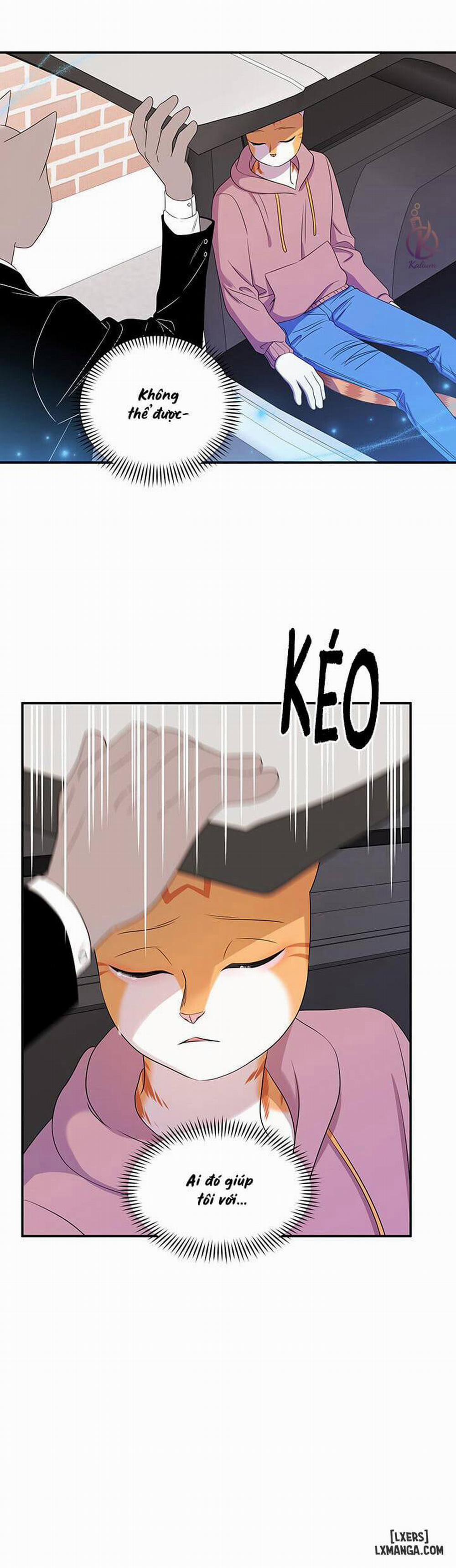 Dự án xanh 13 trang 16