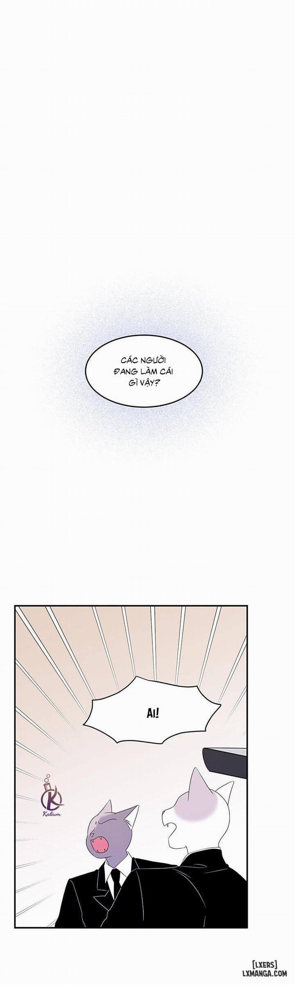 Dự án xanh 13 trang 17