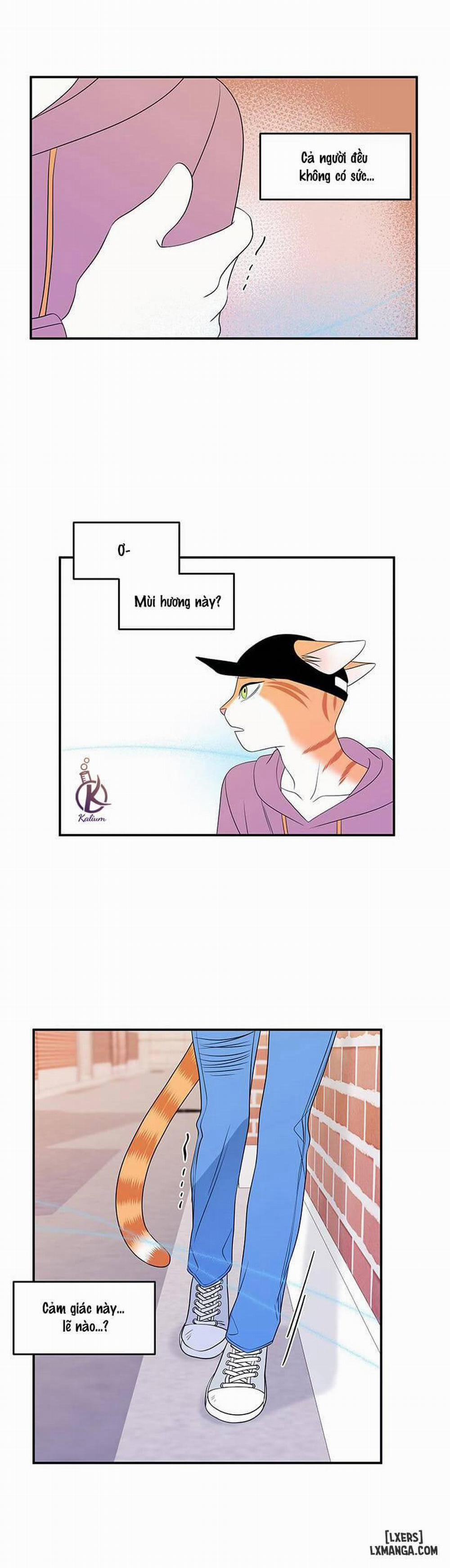 Dự án xanh 13 trang 2