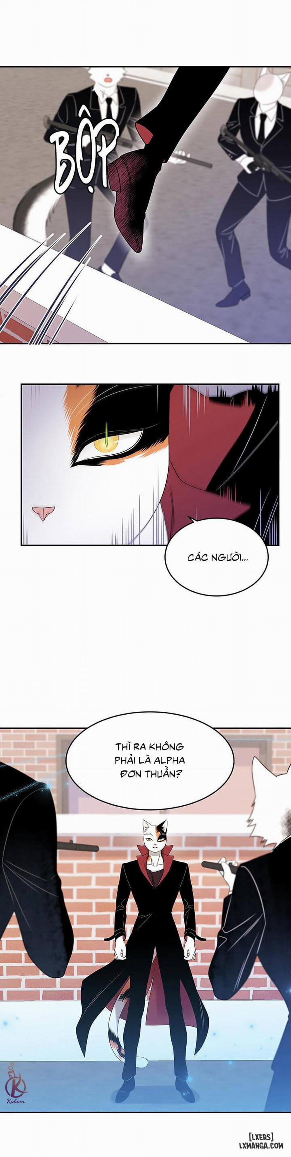 Dự án xanh 13 trang 21