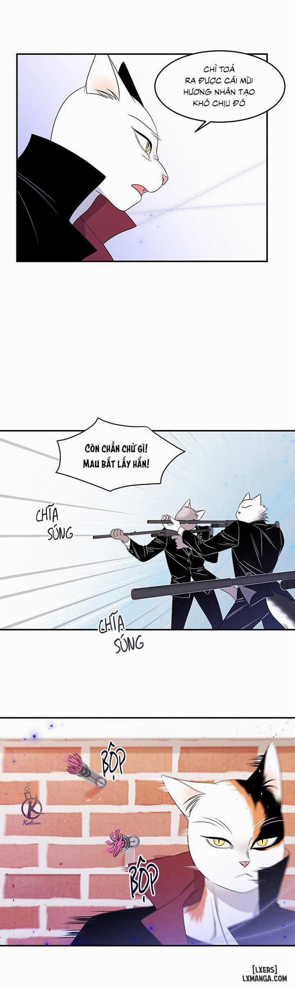 Dự án xanh 13 trang 22