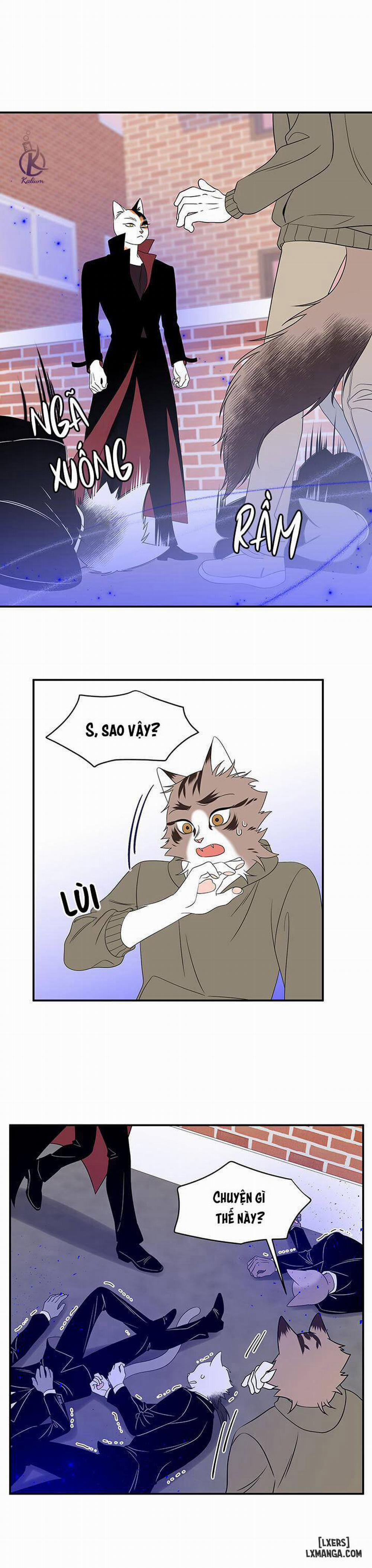 Dự án xanh 13 trang 25