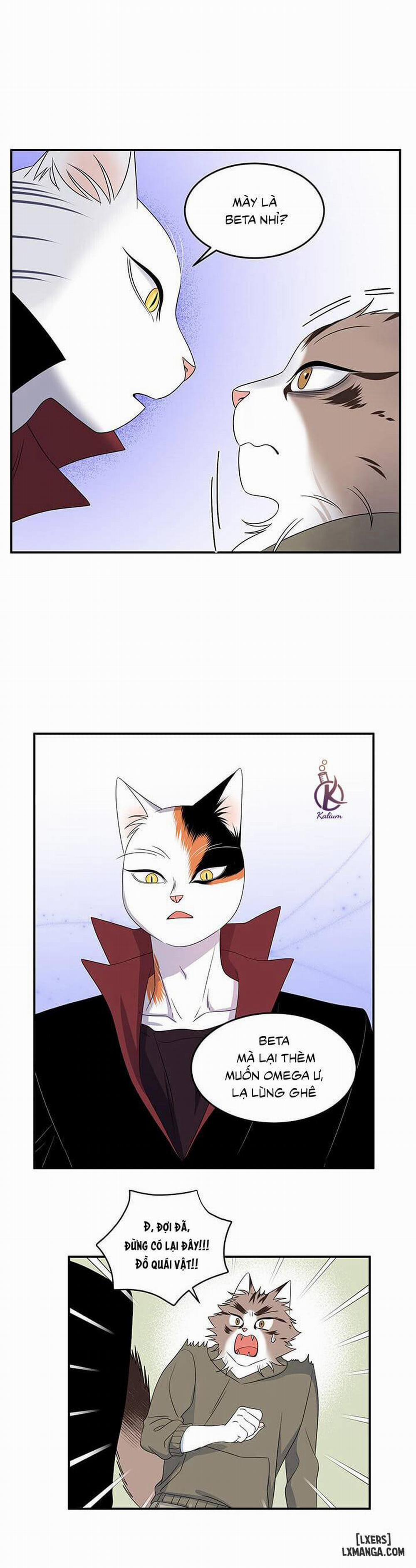 Dự án xanh 13 trang 26