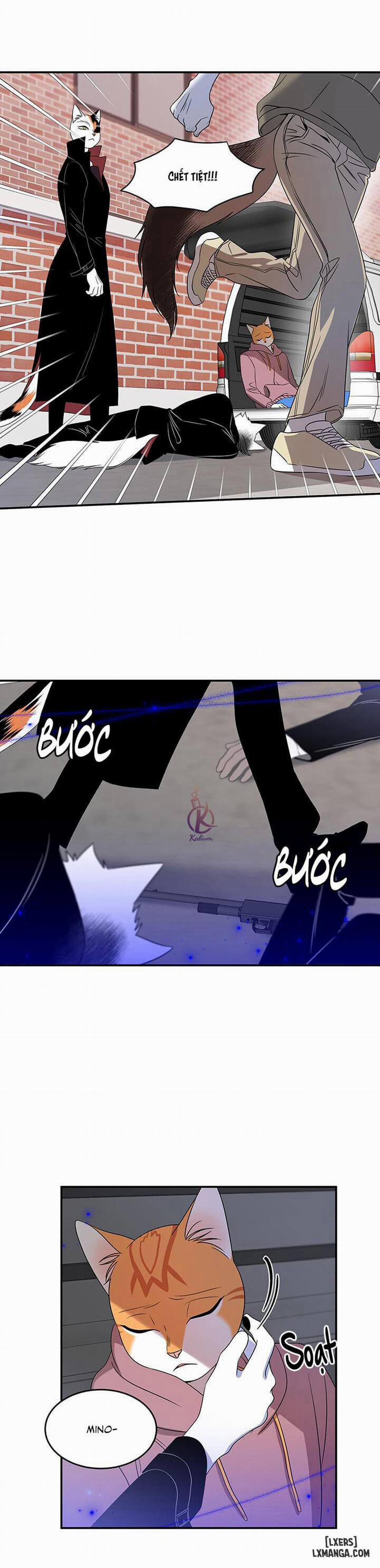 Dự án xanh 13 trang 27